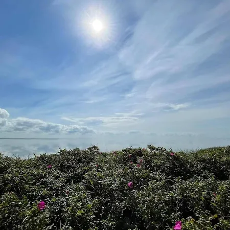 4 Person In Ringkobing-by Traum Apartamento