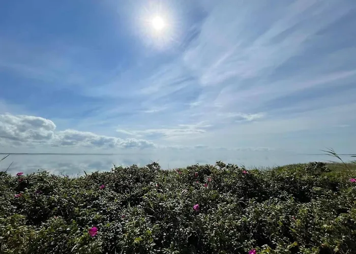 4 Person In Ringkobing-by Traum Apartment