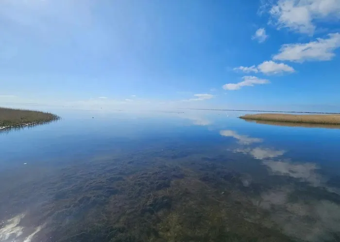 Apartment 4 Person In Ringkobing-by Traum *